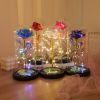 1pc Roses Gifts Artificial Flower Rainbow Rose Light Up In A Dome Gift For Mom Sister Wife Women Birthday Valentines Mother's Day Christmas Engagemen
